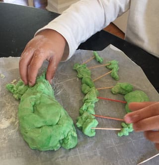 Creating with Mashed Potato Play Dough.