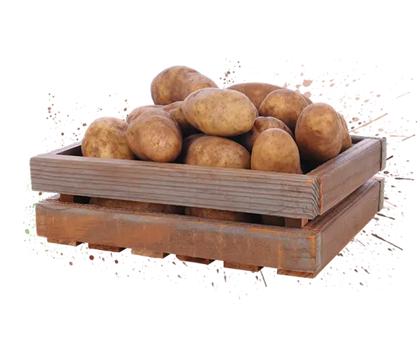 Illustration of a crate of raw potatoes